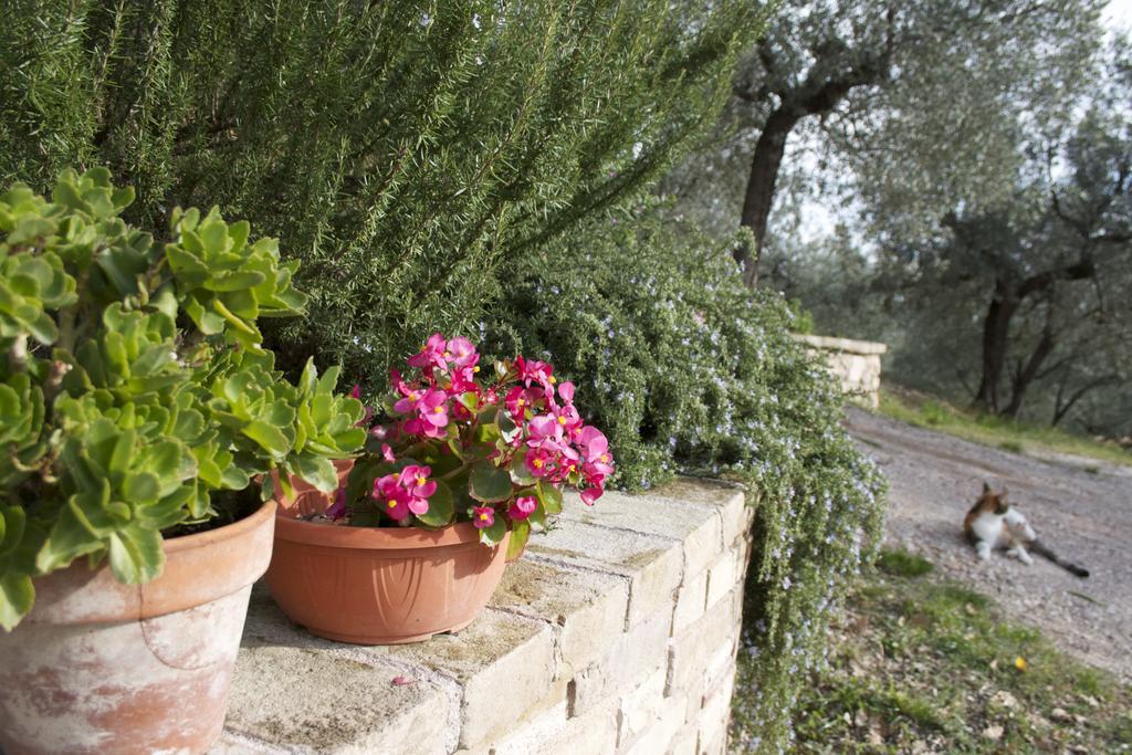 B&B Lavanda E Rosmarino Ассизи Экстерьер фото