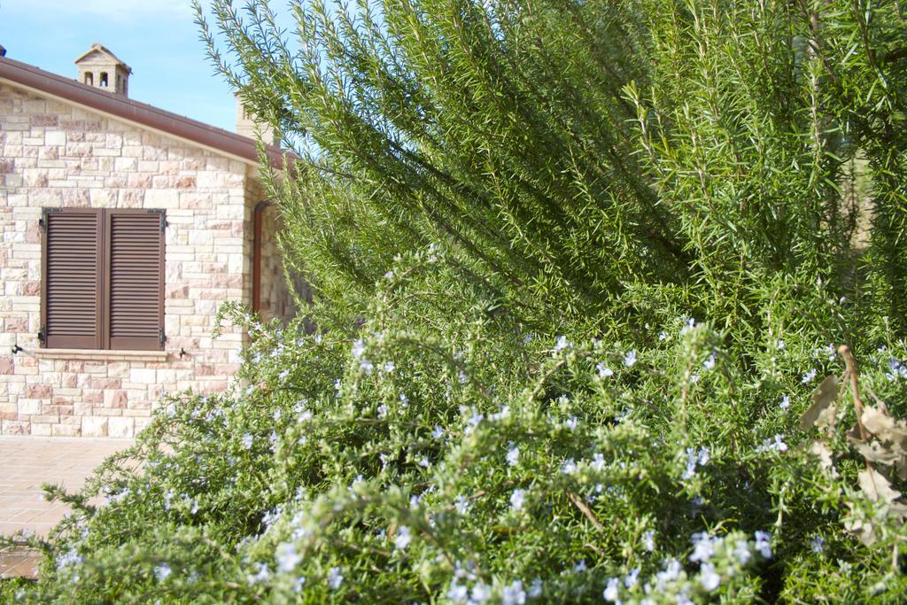 B&B Lavanda E Rosmarino Ассизи Экстерьер фото
