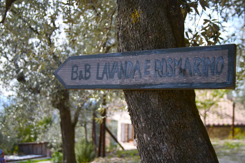B&B Lavanda E Rosmarino Ассизи Экстерьер фото