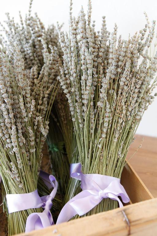 B&B Lavanda E Rosmarino Ассизи Экстерьер фото