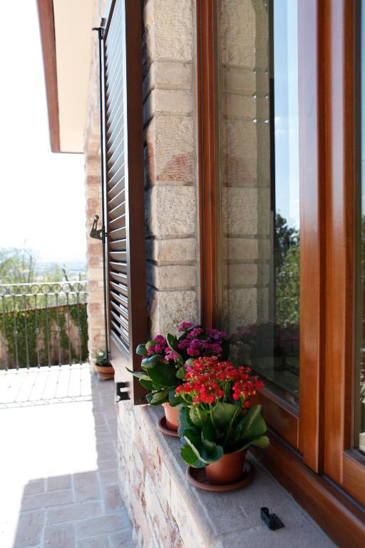 B&B Lavanda E Rosmarino Ассизи Экстерьер фото