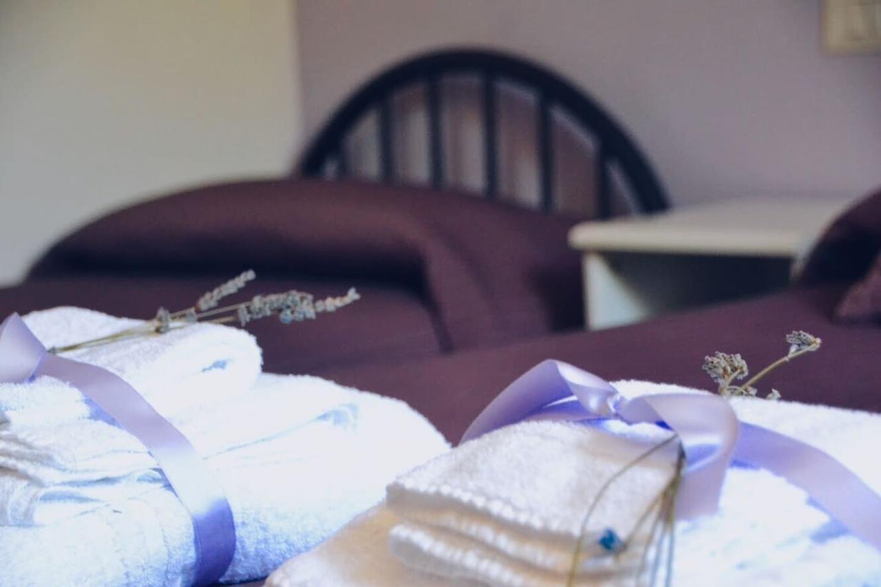 B&B Lavanda E Rosmarino Ассизи Экстерьер фото