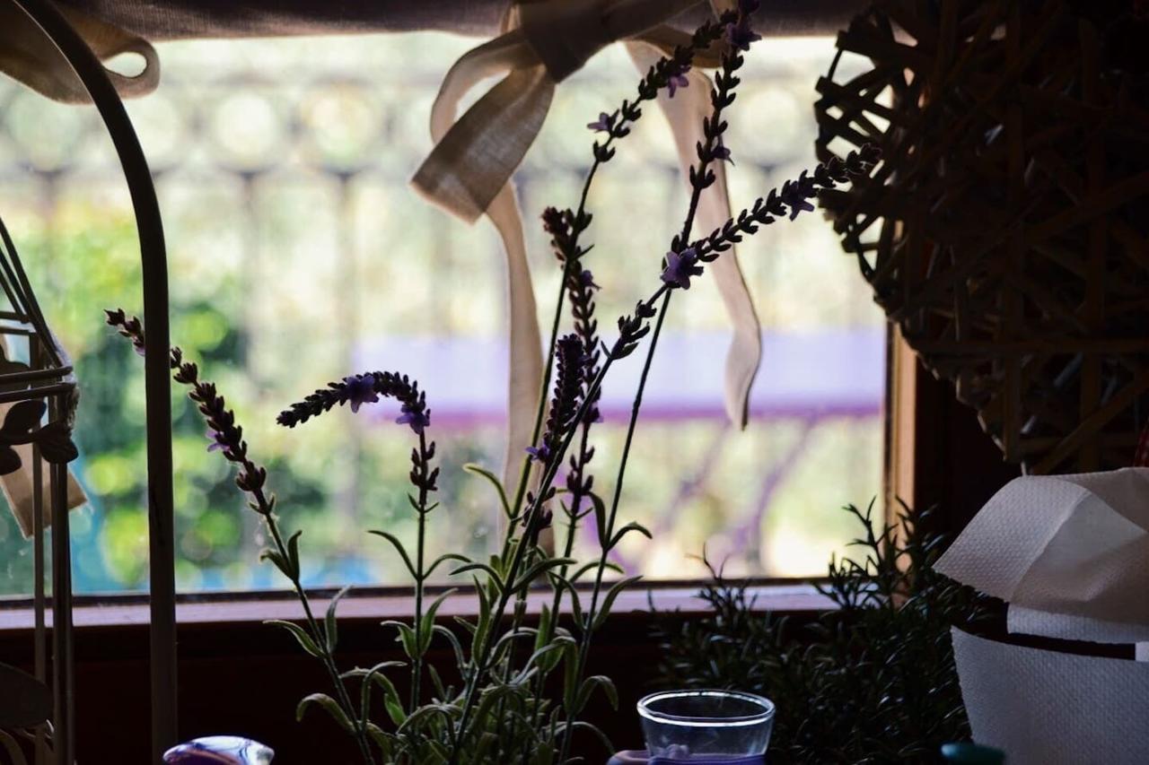 B&B Lavanda E Rosmarino Ассизи Экстерьер фото